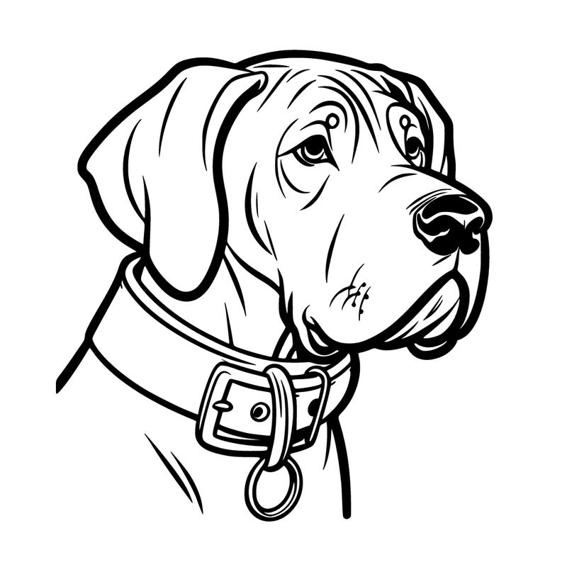 great dane