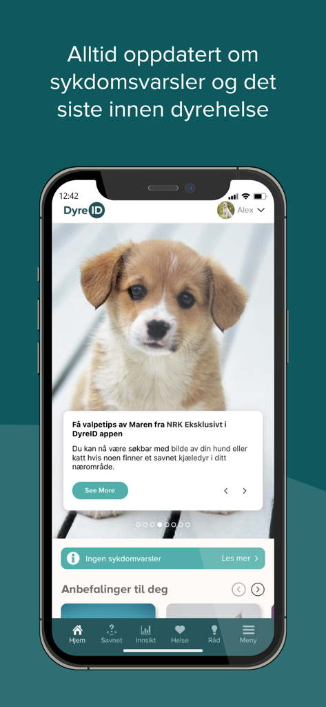 DyreID - Painel do aplicativo móvel DyreID mostrando alertas de saúde de pets e dicas de treinamento de filhotes por especialistas