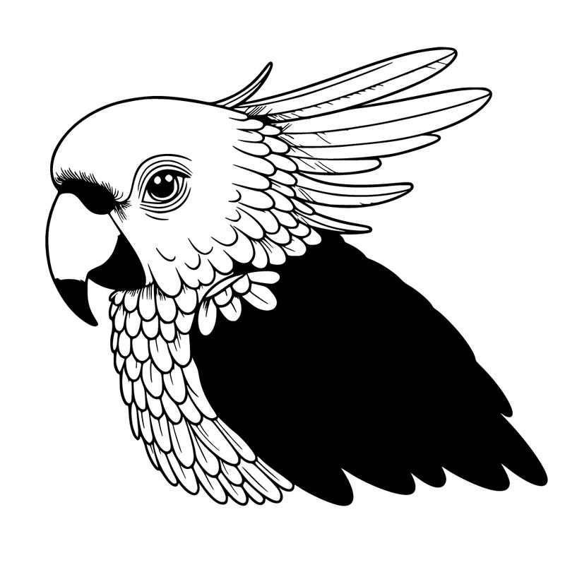 realistic parrot with colour