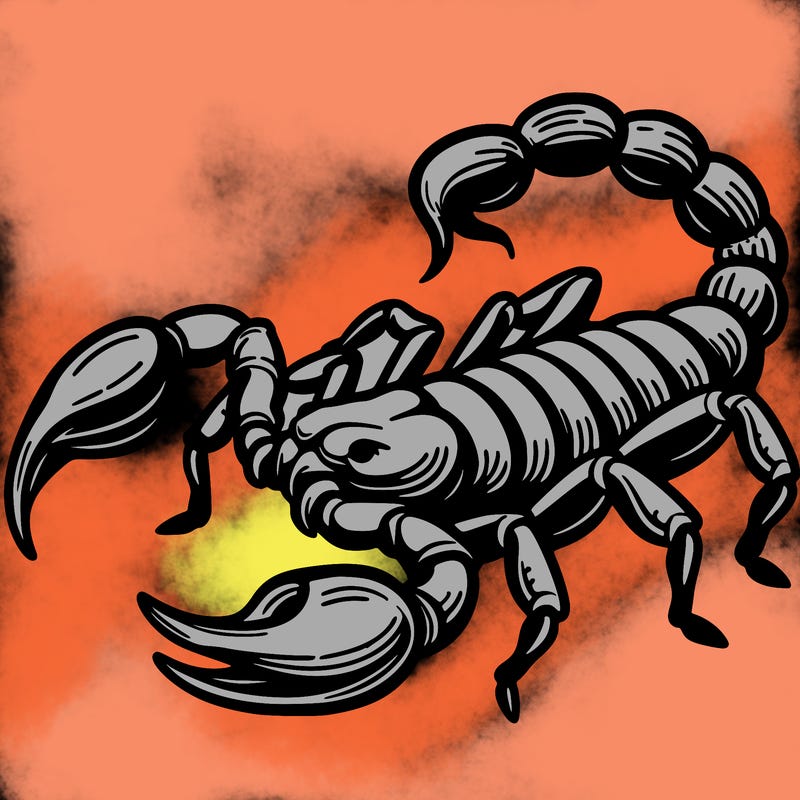 scorpion