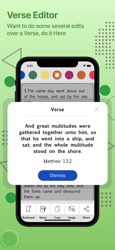New International Version(NIV) - A screenshot of the Verse Editor feature in the NIV Bible app showing a verse from Matthew 13:2 with customization and sharing options.