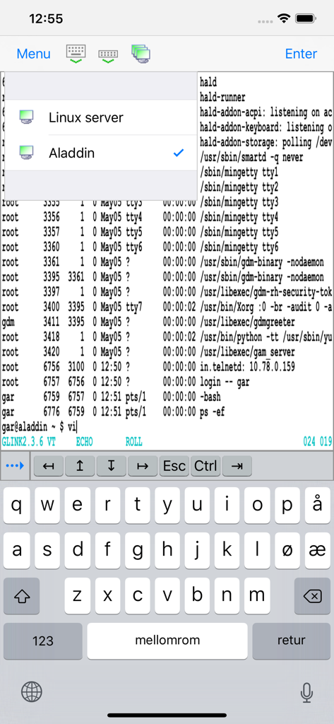 Émulateur de terminal Glink VT affichant une liste de connexions de serveur Linux et une interface de ligne de commande sur un iPhone