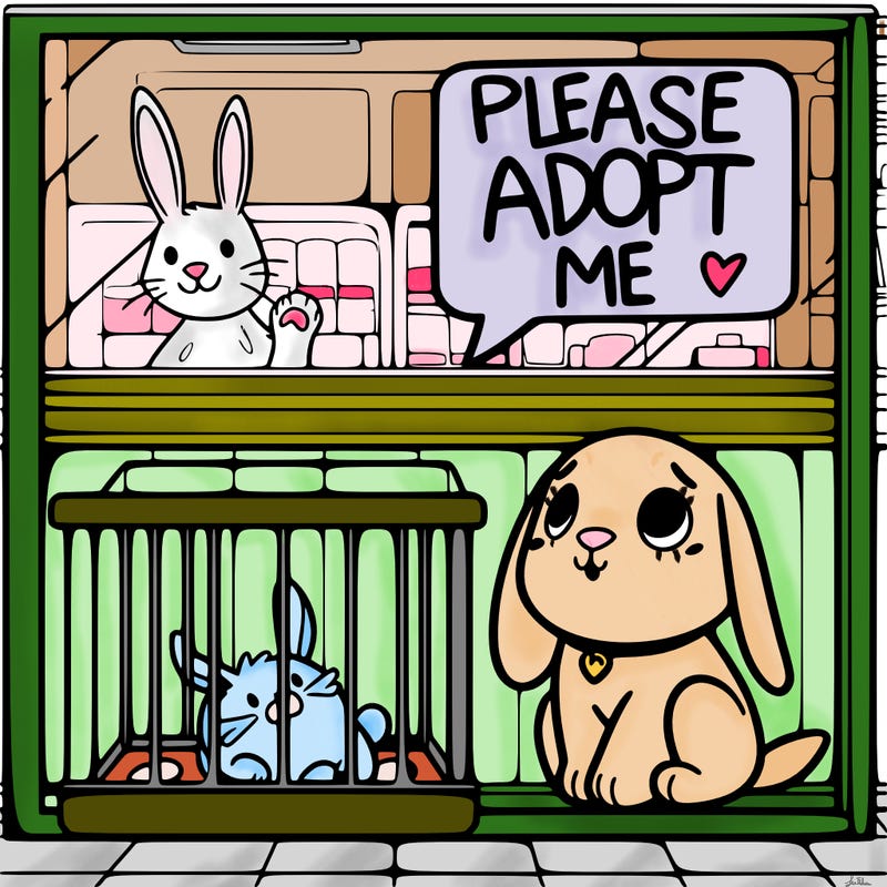 please adopt me