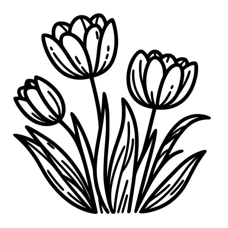 tulips