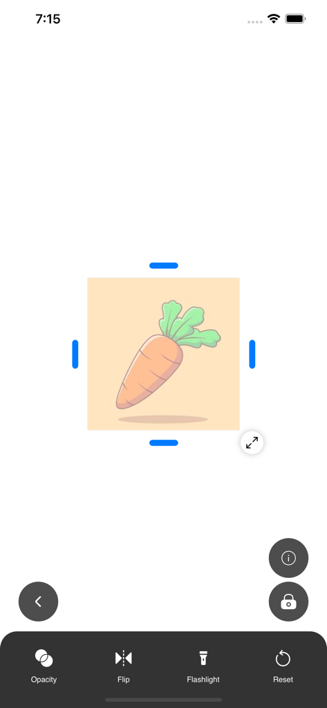 The AR Draw Sketch app interface featuring a carrot illustration with editing controls for opacity and flipping.