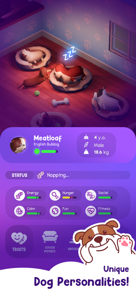 Dog Hotel Tycoon: Pet Game - Una vista de perfil de un Bulldog Inglés llamado Meatloaf mostrando sus estadísticas y rasgos únicos en el juego Dog Hotel Tycoon