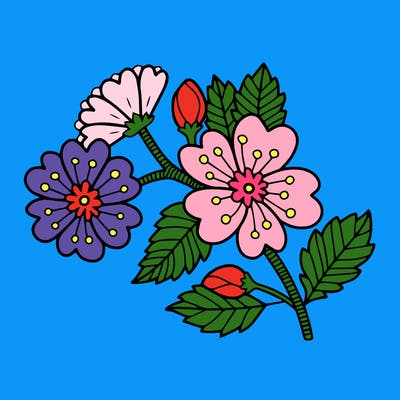flowers_11