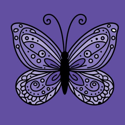 butterfly