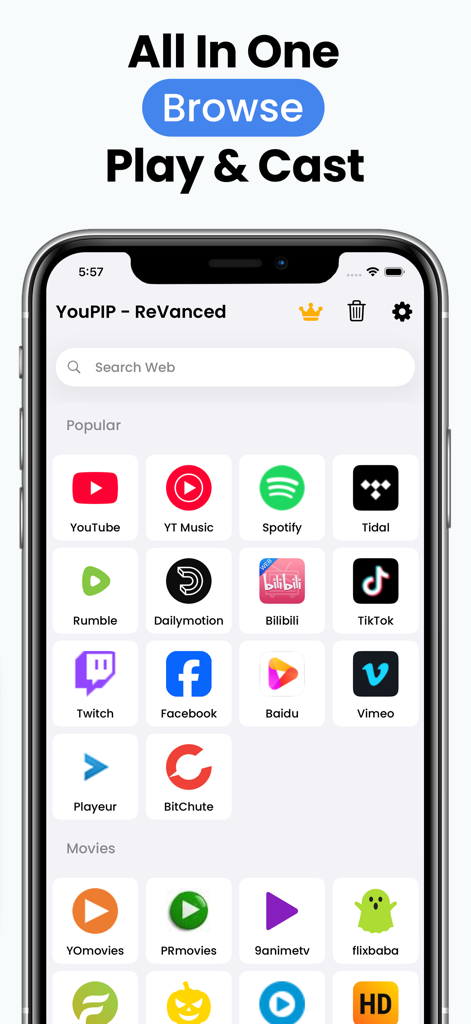 The YouPIP app home screen displaying icons for various streaming platforms like YouTube Spotify and TikTok
