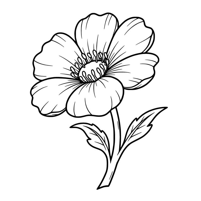 flower