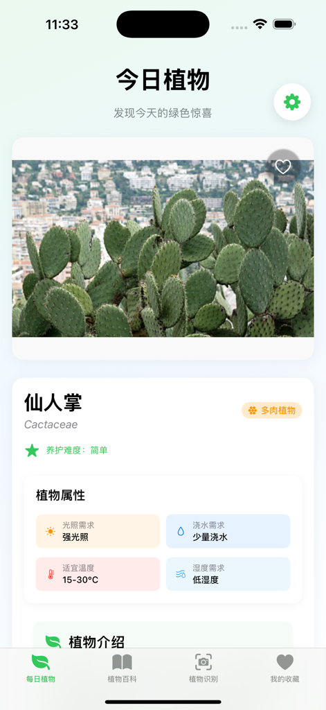 Daily Plants app interface showing cactus botanical information and care instructions in Chinese
