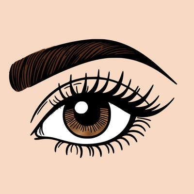 eye brow