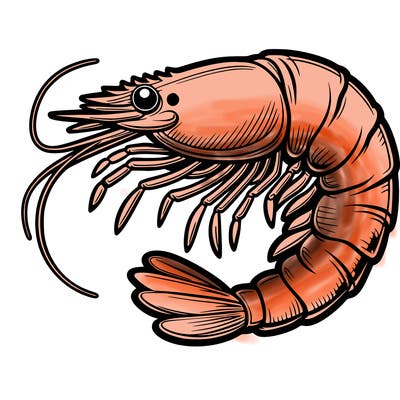 shrimp