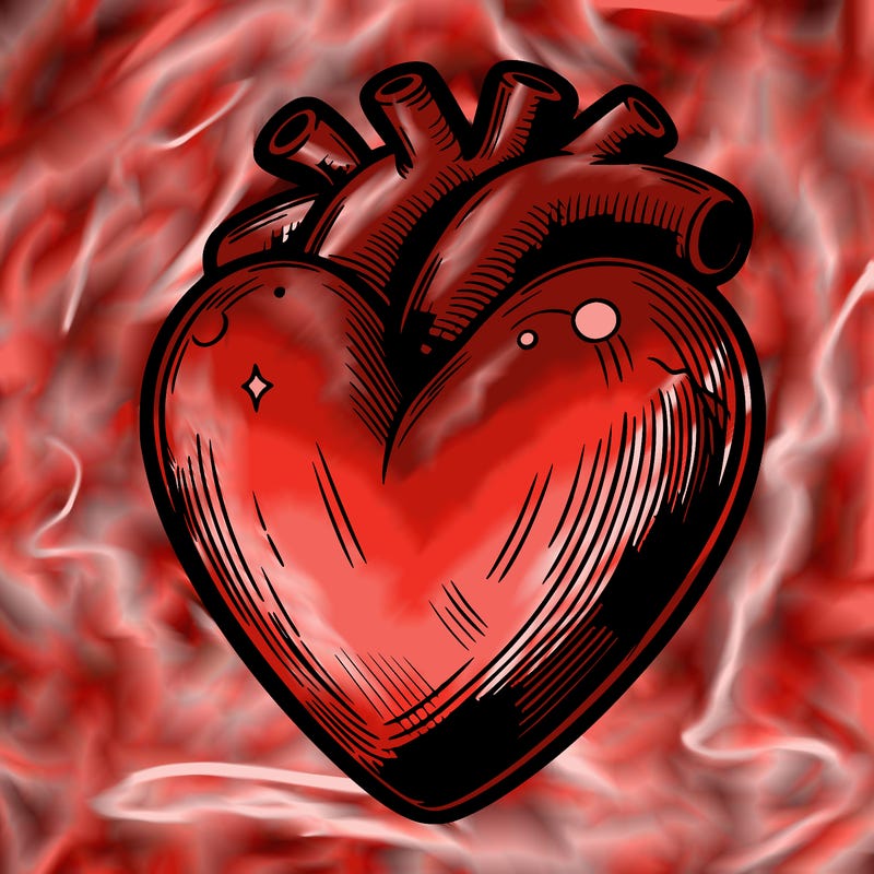 realistic heart