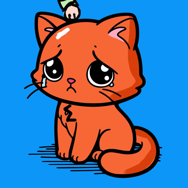 sad cat