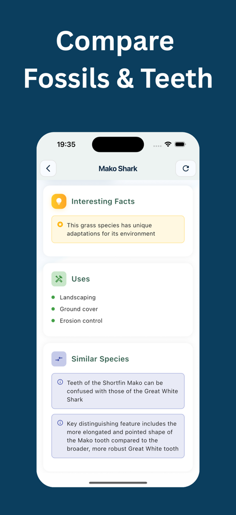 Shark Tooth Identifier: Scan - Mobile app screen showing species facts and comparison between Mako and Great White shark teeth.
