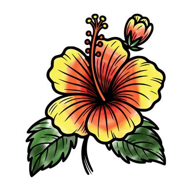 hibiscus flower