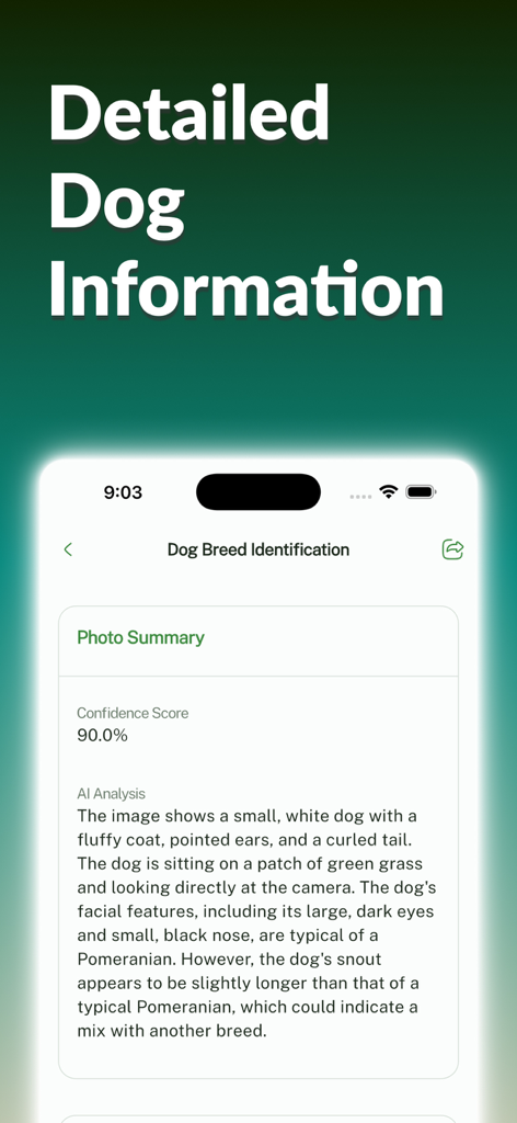Dog Breed Identifier: Dog Care - A mobile app screen titled Dog Breed Identification displaying a 90 percent confidence score and an AI analysis text describing a white dog identified as a Pomeranian mix.