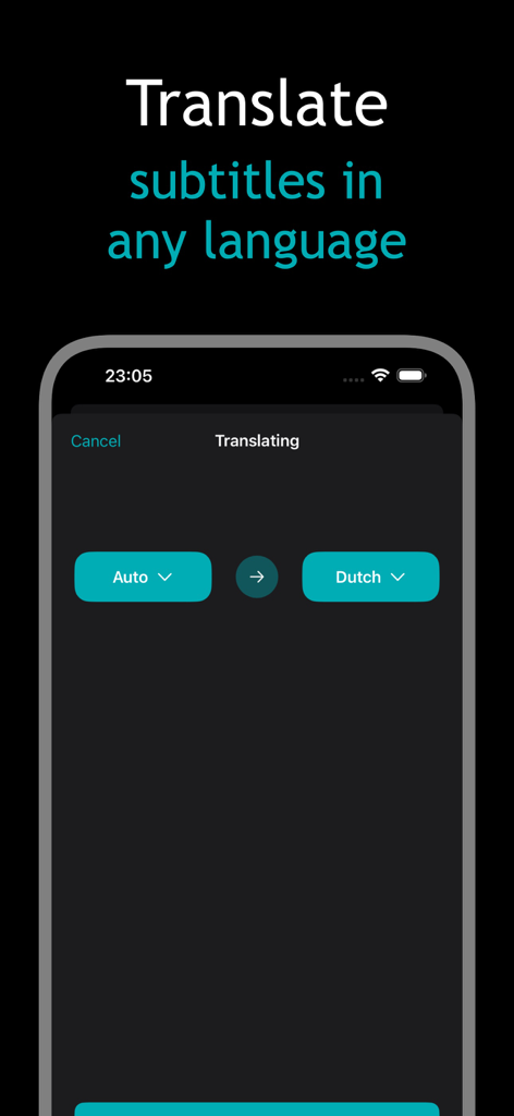 Captions Craft - Interface of Captions Craft app showing the translation of subtitles into another language