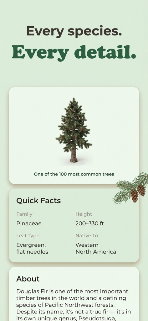 Tree Identifier - Tree ID - Douglas Fir species profile with facts and height in the Tree Identifier app