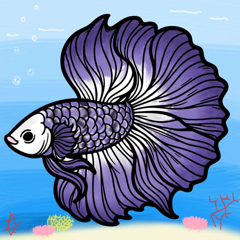 betta fish