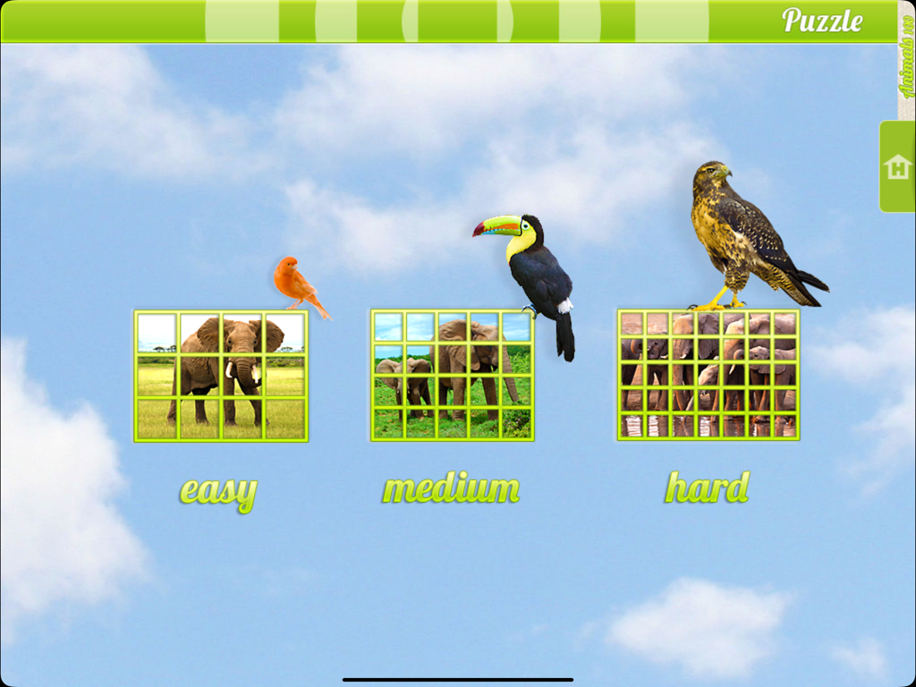 Real Animals 360 - Écran de sélection de puzzles d'animaux avec des niveaux de difficulté facile, moyen et difficile présentant des oiseaux réalistes.