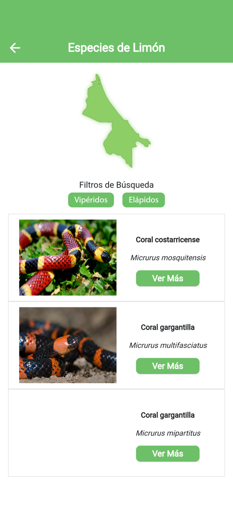 ICP App - Interfaz de la aplicación móvil mostrando especies de serpientes venenosas de Limón, Costa Rica con fotos y nombres científicos
