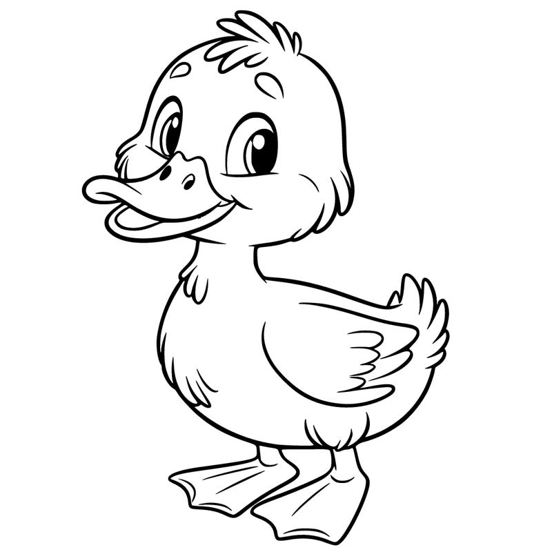 duck