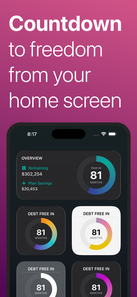Debt Zero: Snowball Calculator - iPhone home screen showing Debt Zero app widgets with debt payoff progress and monthly countdowns