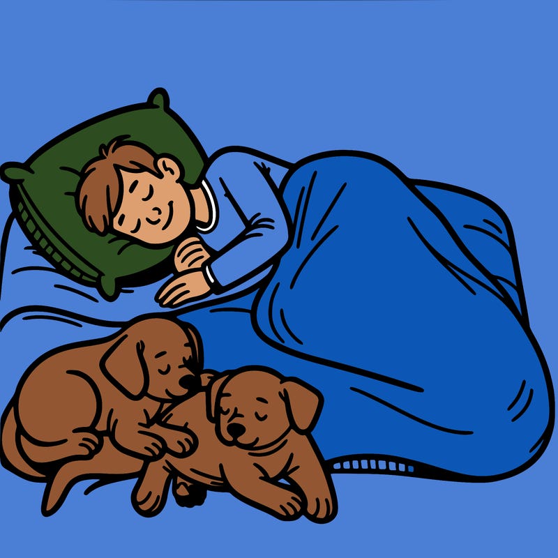 dog dogs with an owner that’s cuddling with them in a bed