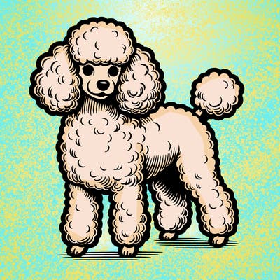toy poodle realistic