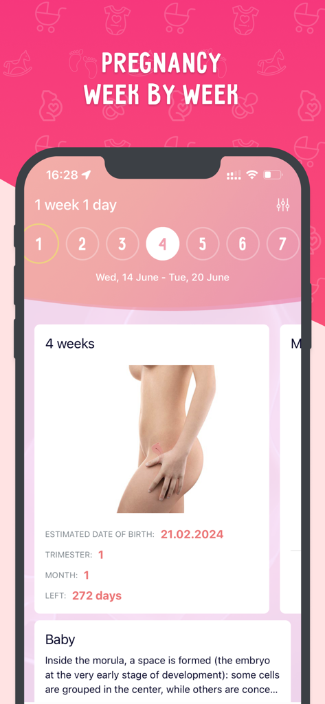 Pregnancy Tracker - Momsline - Pantalla de la aplicación móvil Momsline que muestra el progreso del embarazo a las cuatro semanas con información sobre el desarrollo del bebé