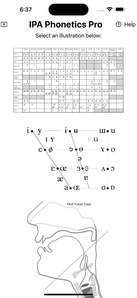 iPA Phonetics - Diagrammes API et schéma du conduit vocal dans l'application iPA Phonetics Pro.
