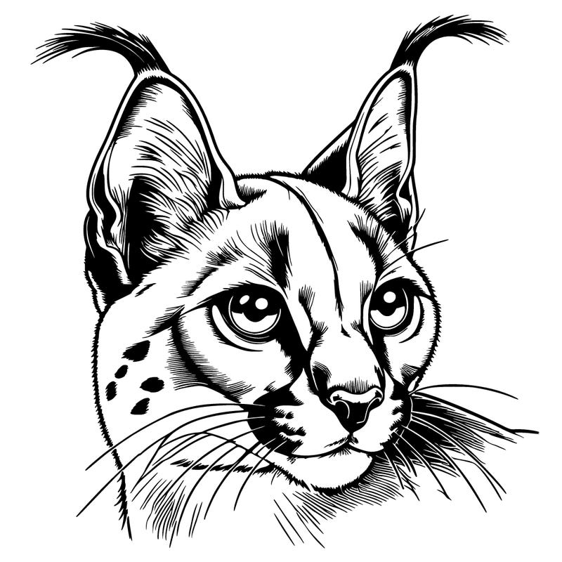 realistic caracal