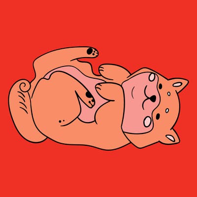 animals_30