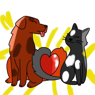animals_22