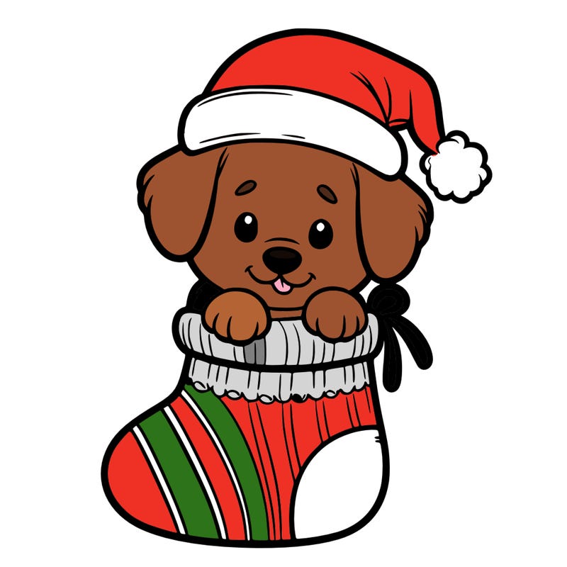 cute puppy wearing santa hat in socking