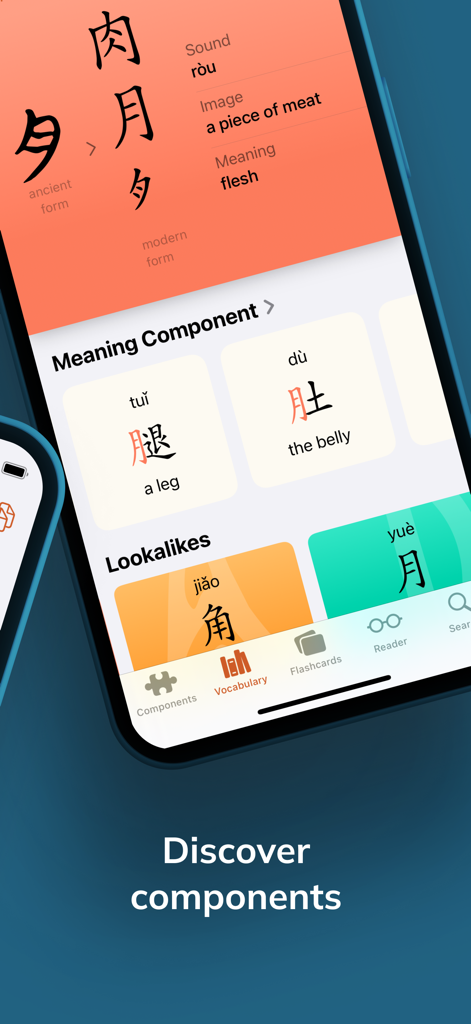 Wen - Chinese Character Origin - Interface de l'application Wen montrant l'étymologie et les composants des caractères chinois, y compris les formes anciennes et les sosies.