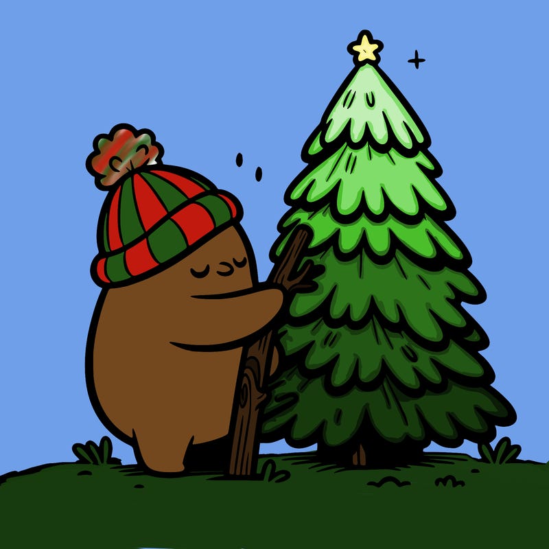sapin