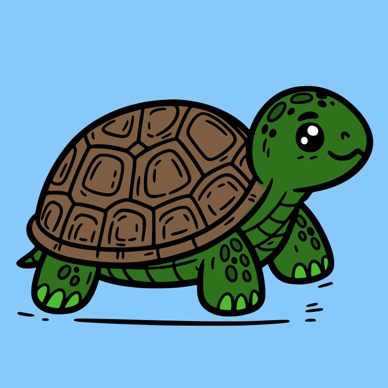 turtle