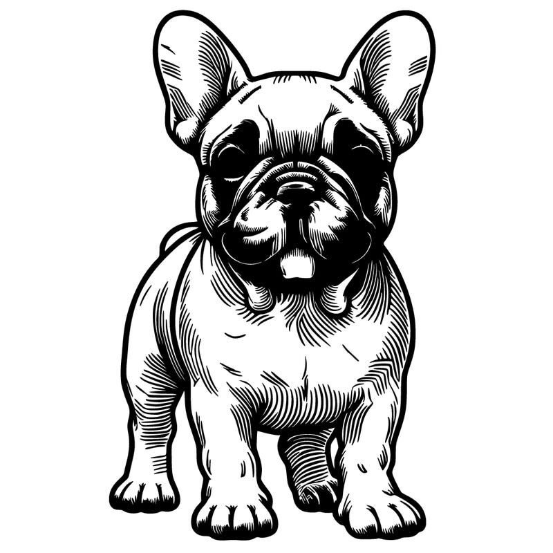 realistic french bull dog