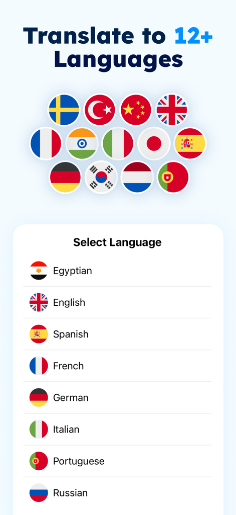 Egyptian Arabic Translator - 