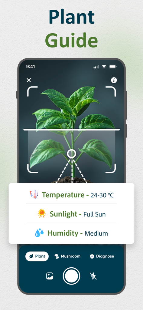 AI Plant Identifier and Care - Pantalla de la aplicación AI plant identifier que muestra detalles de la guía de cuidados como luz solar y humedad para una planta de interior verde