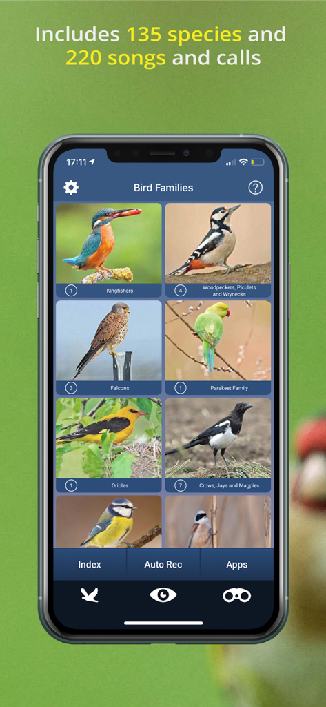 Bird Song Id UK - Schermata delle famiglie di uccelli nell'app Bird Song Id UK che mostra 135 specie e 220 canti