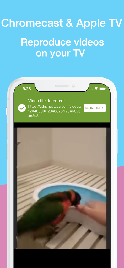 Video Web - Video Player - Smartphone screen showing Video Web app casting a web video to Chromecast and Apple TV