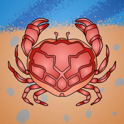animals_16