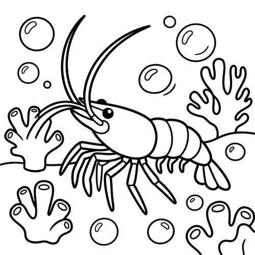 Cleaner Shrimp