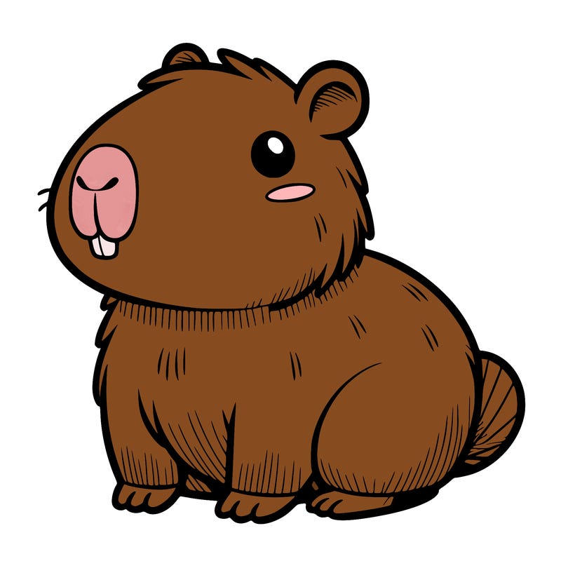 cute capybara