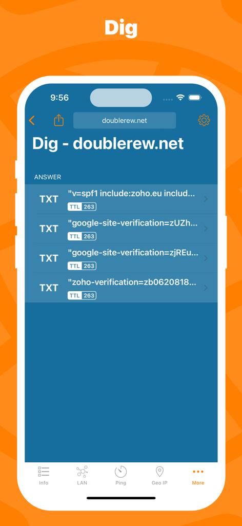Interface of the Network Utility app showing DNS Dig results including TXT records for a domain.