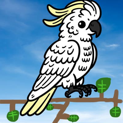 cockatoo